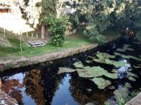 Ático Rosita en Camino de Santiago - B&B Xinzo de Limia