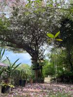Bungalow with Garden View