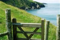 Ty Cerrig seaside Annexe, New Quay - B&B New Quay