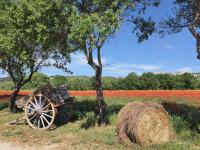 La petite Galéjade - B&B Gordes