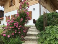 Ferienwohnung am Dreiseithof - B&B Hauzenberg