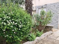 Apartman Nika - B&B