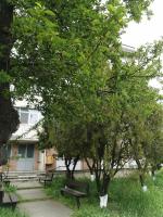 Apartament ASR - B&B Piatra Neamţ