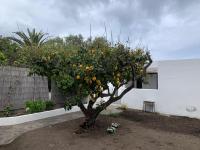 Casa Cristian Stromboli - Ferienwohnung Stromboli