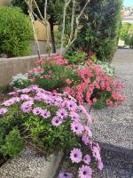 Apartment mit 1 Schlafzimmer und Terrasse