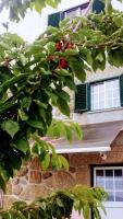 B&B Guarda - AL Miradouro do Outeiro - Bed and Breakfast Guarda