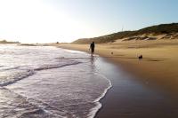 Forest Studio - Chambres d’hôtes Knysna