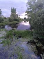 Ático Rosita en Camino de Santiago - B&B Xinzo de Limia