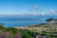 Villa Emma - B&B Castellabate