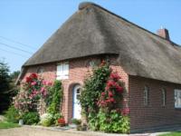 Friesenhof Mühlenwarft - B&B