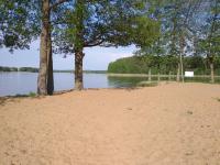 Kwiat Jabłonki - B&B Wikno