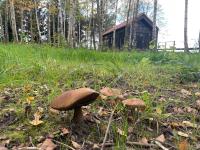 Szopa_Narie - B&B Gulbity