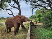 River Cottage Lodge - B&B Malelane