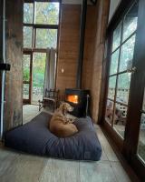 B&B Hovea - Mountolive Studio - dog friendly - Bed and Breakfast Hovea