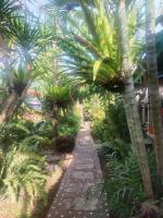 ComeBack GuestHouse - B&B Canggu