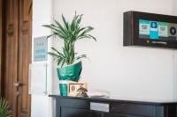 Apartments Bazar - Ferienwohnung