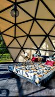 Glamping dome tent 'RIVER' - Ferienwohnung Salacgrīva