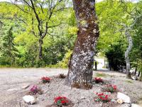 Casa Il Colle - Chambres d’hôtes Sant'Urbano