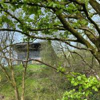 Luxury Lodge In The Treetops - Chambres d’hôtes Llanbrynmair