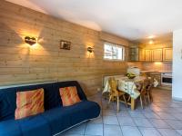 Duplex 2 chambres au centre du village, proche pistes de ski, parking inclus, La Clusaz - FR-1-437-40 - Ferienwohnung