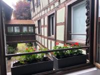 Quai des Pêcheurs - Vue Cathedrale - B&B Estrasburgo