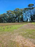 TERRA - Chambres d’hôtes San Andrés de Giles