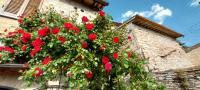 CASETTA delle ROSE - B&B