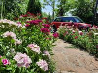 Vintage and cozy room, free parking, shared house in the small quiet village - B&B
