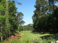 Villa Biscarrosse Golf, 8 pers, piscine chauffée, jardin - FR-1-319-508 - B&B Biscarrosse