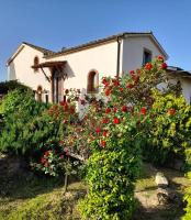 B&B Ribolla - Borgo de' Muracci - Bed and Breakfast Ribolla