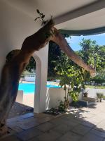 Apartamento da Avó Té - em frente à Praia c piscina - Ferienwohnung Portimao