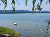 Appartamento Miralago con Giardino sul Lago - B&B Gavirate