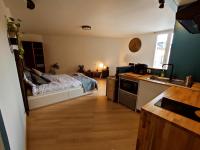 B&B Limoges - Appartement du pont St Etienne - Bed and Breakfast Limoges