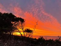 Villetta dei Ginepri - B&B Costa Paradiso