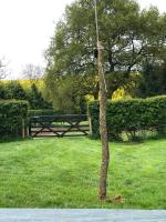 Old Oak Farm - B&B Preston