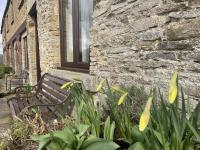 Valerian - Ferienwohnung York