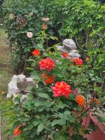 Petra House - B&B Petras
