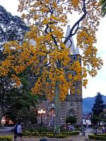 Bird House - Apartament - B&B Jardin