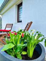 Ferienhaus in Rostock - Brinckmansdorf - B&B Rostock