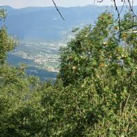 La Casa di Anna nel Parco delle Dolomiti Croce d' Aune 1000 ml slm - B&B Pedavena