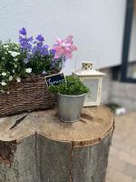 Apartmán ANA - Bed and Breakfast Terchová