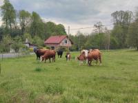 Triple Room with Private External Bathroom