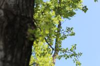 Appartamento con Vista Piscina 