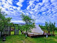 B&B Podișor - Glamping Livada cu lavanda - Bed and Breakfast Podișor