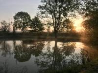 DOMAINE DES GALLINACES CHALET SUSSEX 2-4p - Ferienwohnung