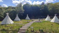 Glamping Wild Nature Bałtów - B&B
