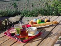 Appartement au coeur des rizières - B&B Salin-de-Giraud