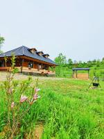 Casuta din Cotroape - Maramureș - Bed and Breakfast