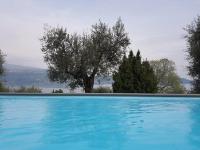 Ville in uliveto vista lago - VILLA LECCINO - Ferienwohnung Pulciano