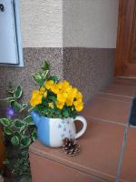 Appartement met uitzicht op de tuin